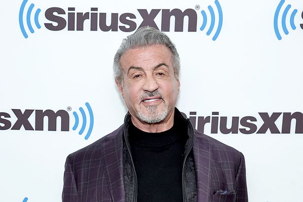 Stallone undergoes seven surgeries after WWE stunt gone wrong