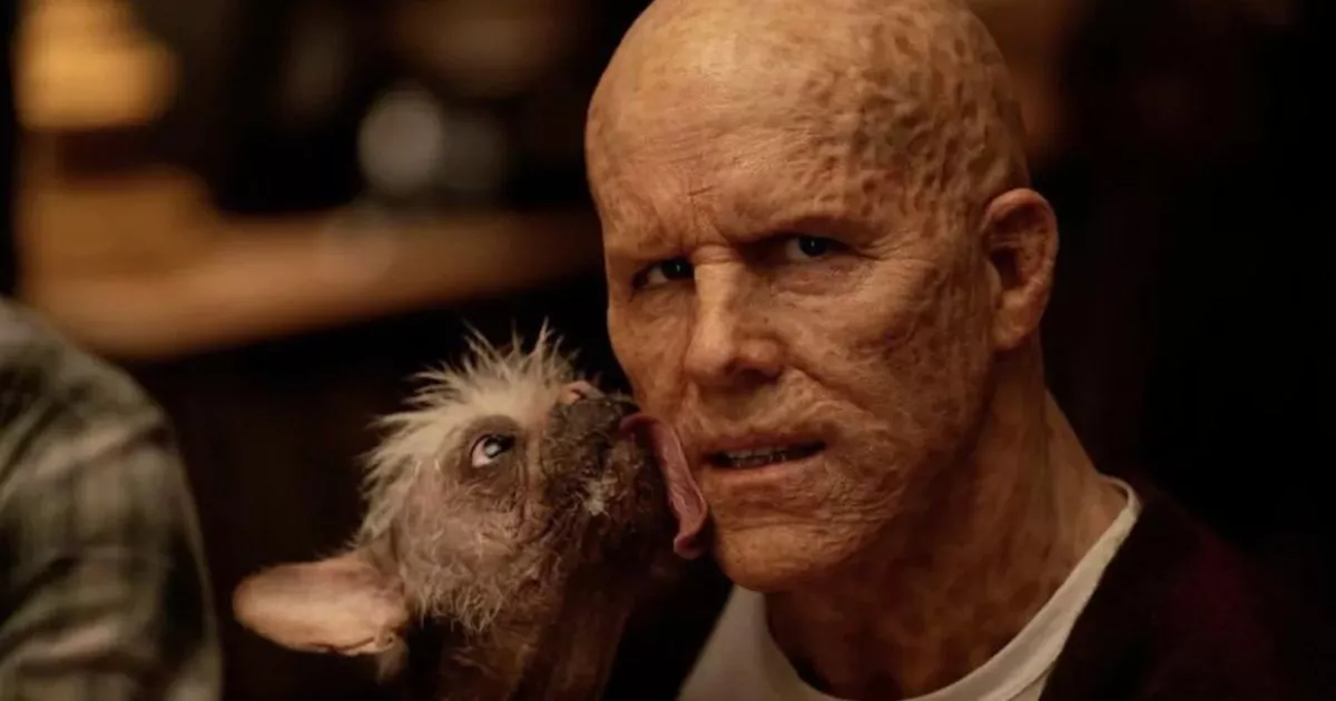 Britain's Ugliest Dog Lands Major Hollywood Movie Role