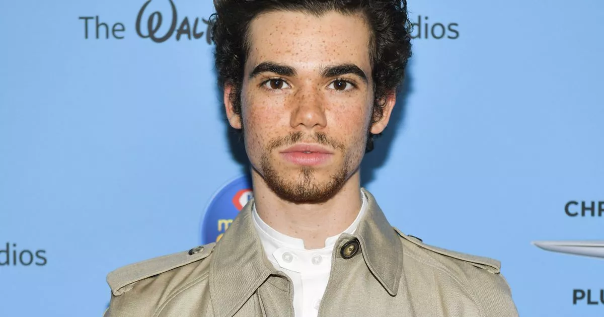 The Heartbreaking Loss of Cameron Boyce: Inside His Final Moments and Co-Star Tributes