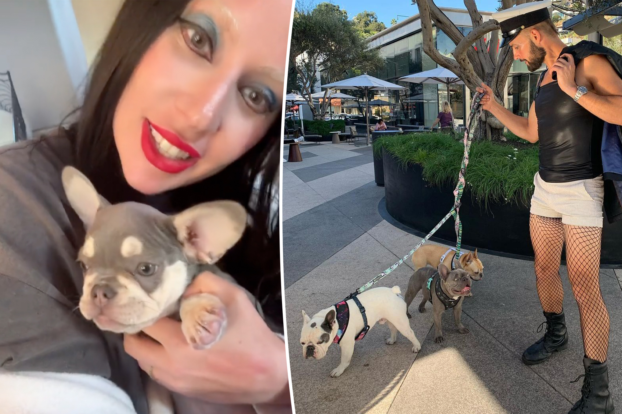 Lady Gaga's Heartwarming Return to Puppy Love After Dognapping Ordeal Will Melt Your Heart!