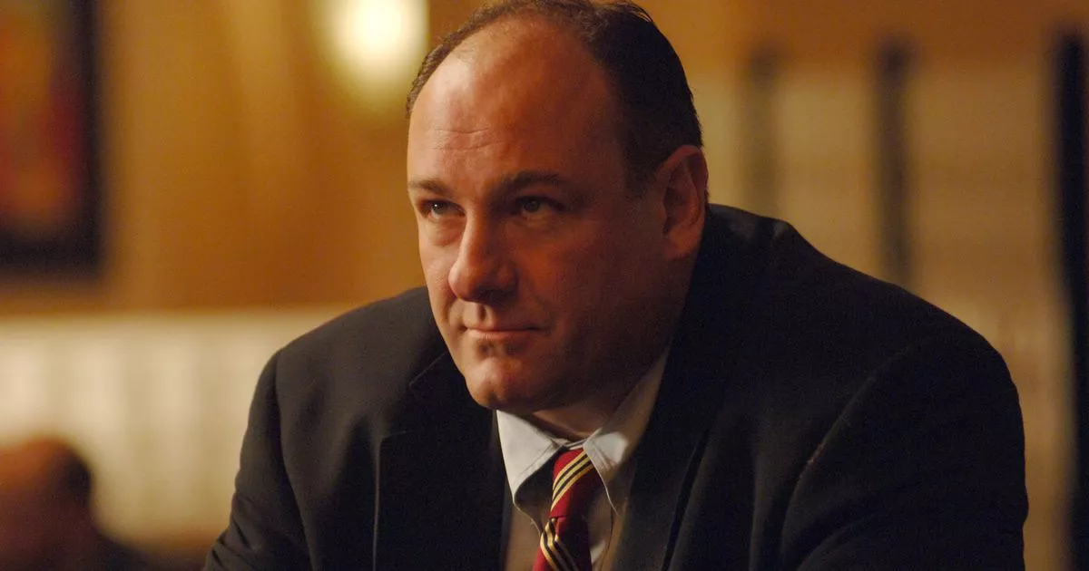 Sopranos Star's Drunken Vow: The Inside Story