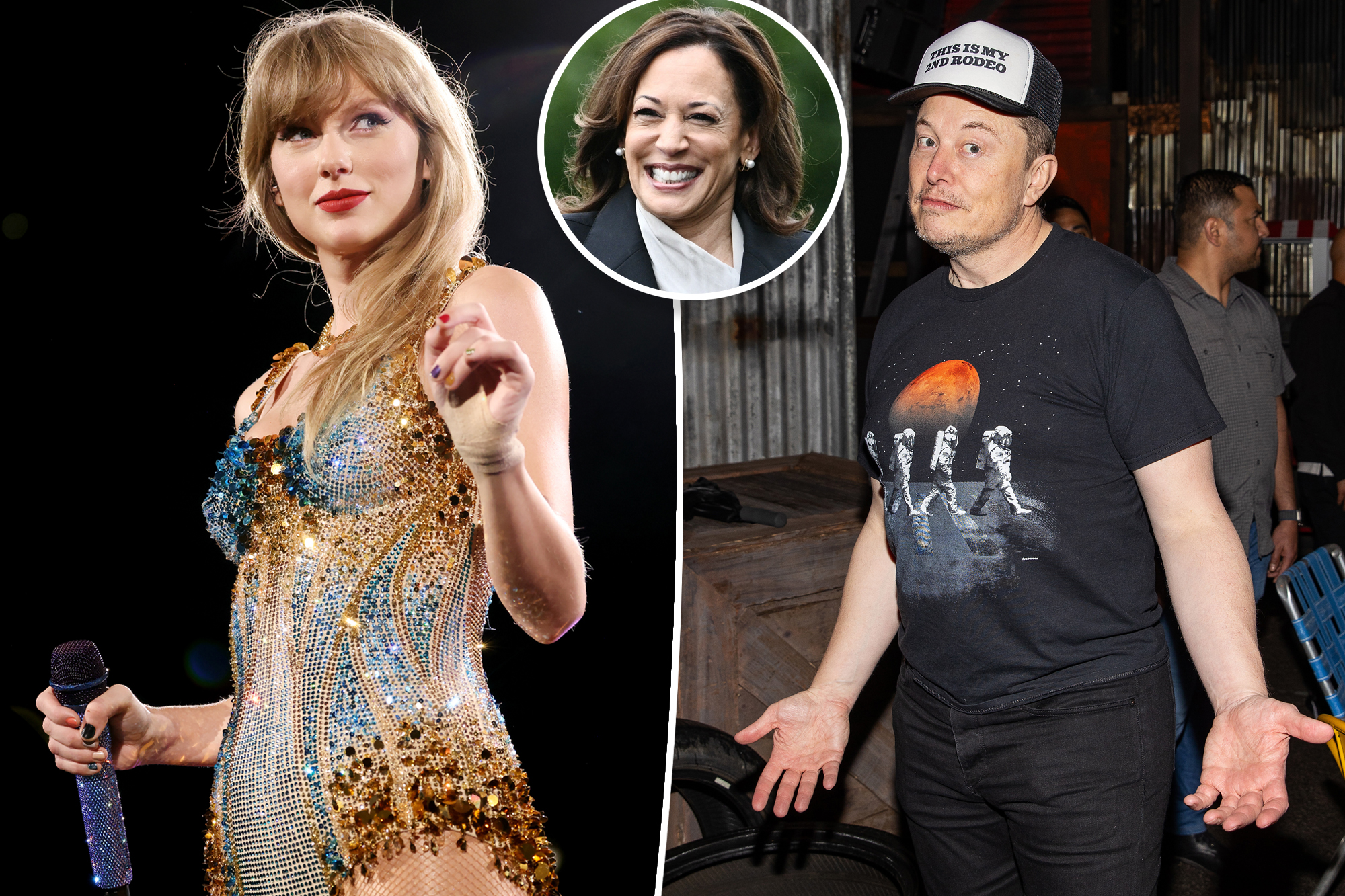 Elon Musk's Bizarre Baby Offer to Taylor Swift Sparks Online Drama