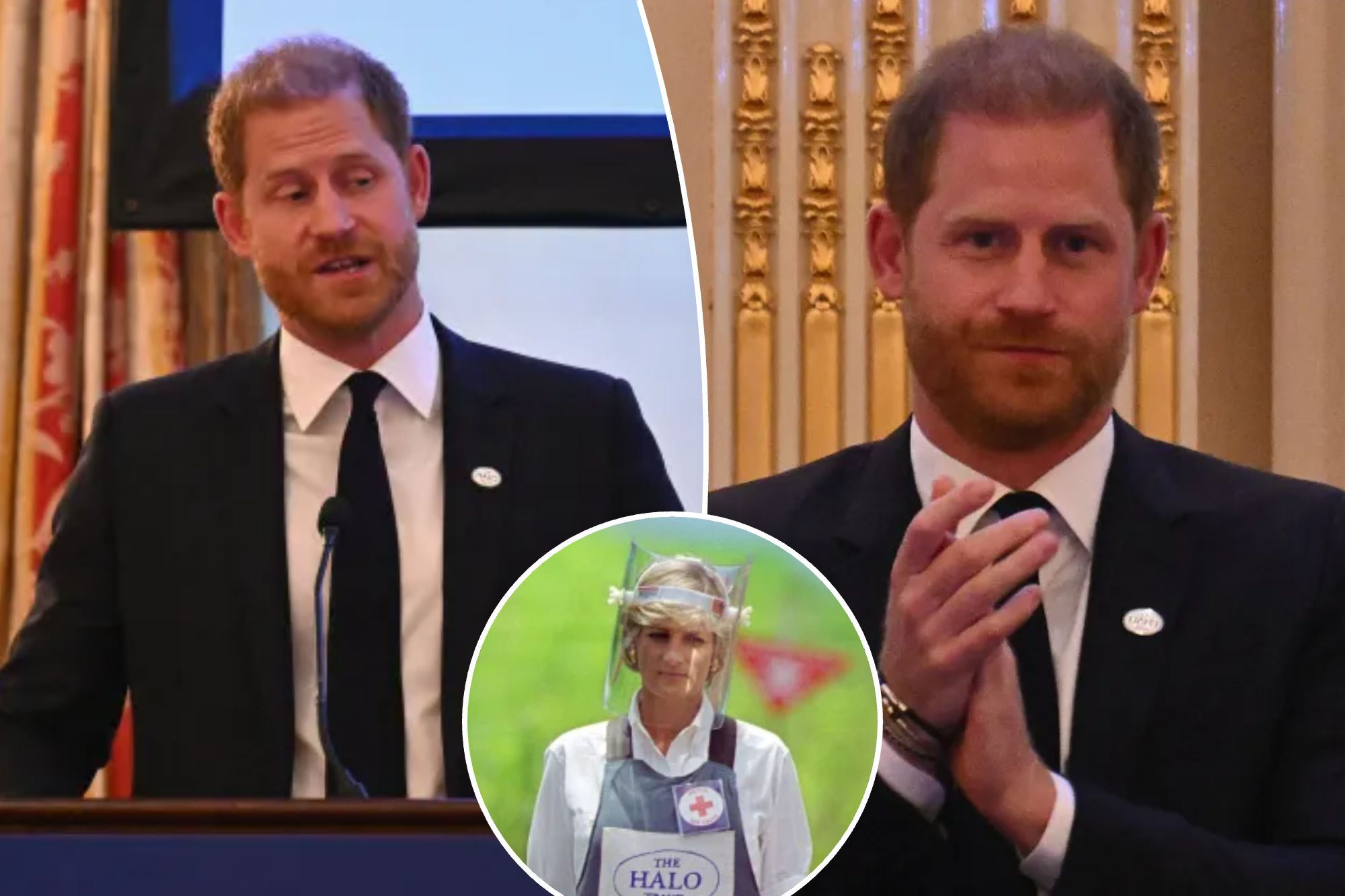 Prince Harry's Mission to Carry Princess Diana's Landmine Legacy Forward