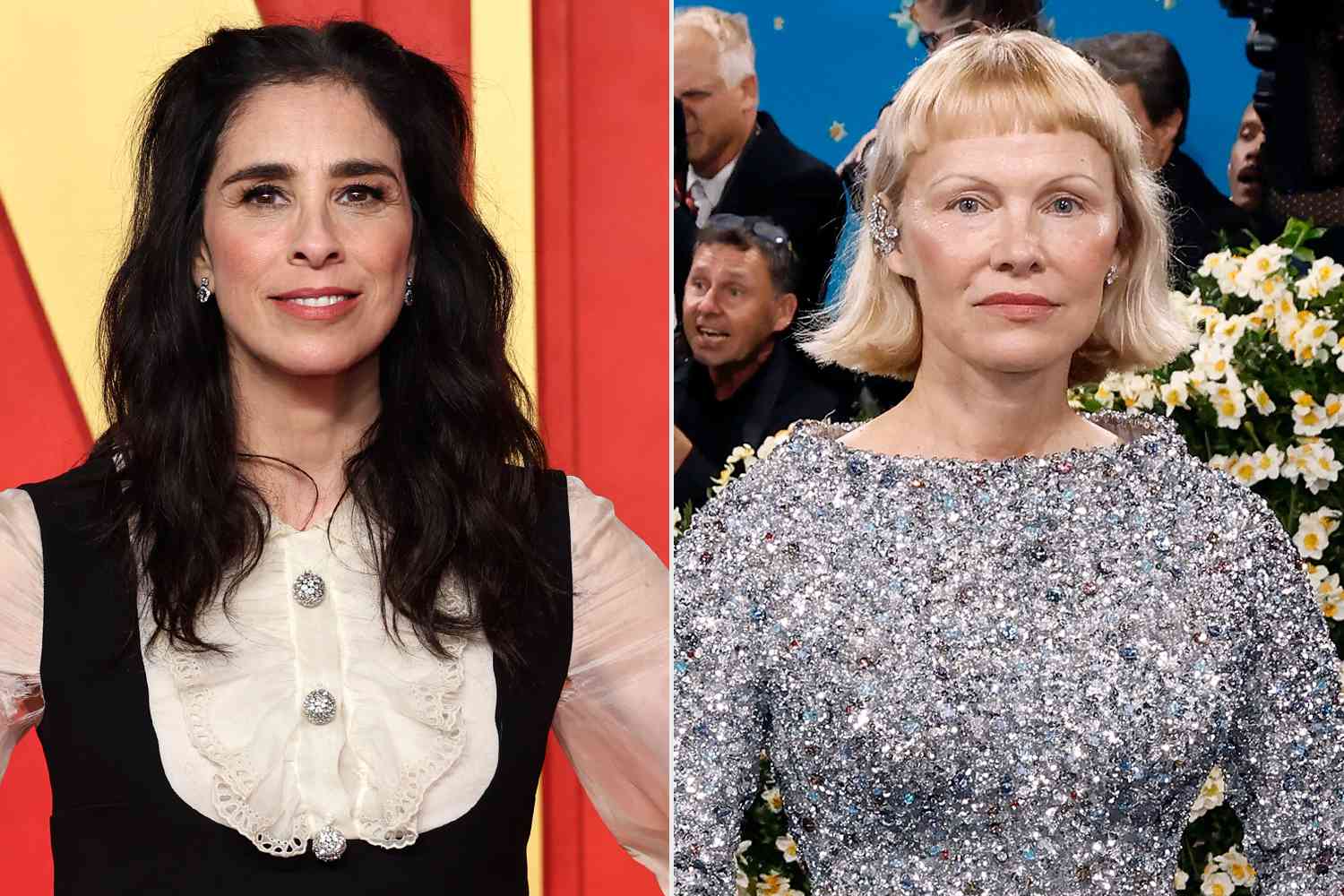 Sarah Silverman Reveals Pamela Anderson's Displeasure Over Roast Jokes